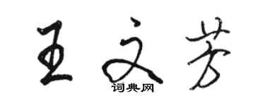 駱恆光王文芳行書個性簽名怎么寫