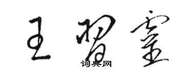 駱恆光王習靈草書個性簽名怎么寫