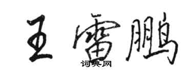 駱恆光王雷鵬行書個性簽名怎么寫