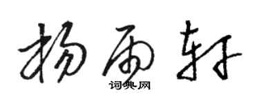 駱恆光楊雨軒草書個性簽名怎么寫