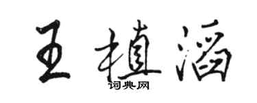 駱恆光王植滔行書個性簽名怎么寫