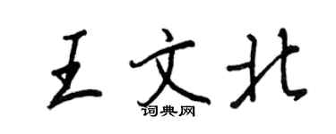 王正良王文北行書個性簽名怎么寫