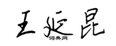 王正良王延昆行書個性簽名怎么寫