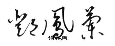 駱恆光鄧鳳蘭草書個性簽名怎么寫
