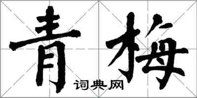 翁闓運青梅楷書怎么寫