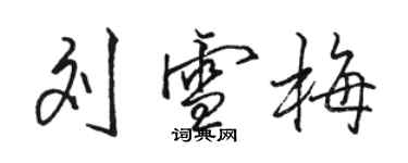 駱恆光劉雪梅行書個性簽名怎么寫