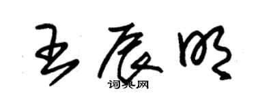 朱錫榮王辰明草書個性簽名怎么寫