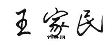 駱恆光王家民行書個性簽名怎么寫