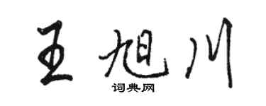 駱恆光王旭川行書個性簽名怎么寫