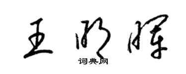 梁錦英王明暉草書個性簽名怎么寫