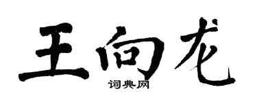 翁闓運王向龍楷書個性簽名怎么寫