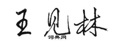 駱恆光王見林行書個性簽名怎么寫