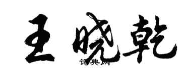 胡問遂王曉乾行書個性簽名怎么寫