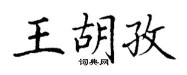丁謙王胡孜楷書個性簽名怎么寫