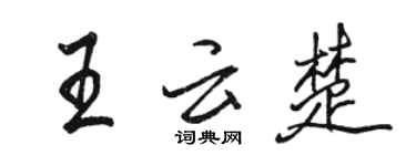 駱恆光王雲楚行書個性簽名怎么寫