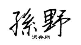 王正良孫野行書個性簽名怎么寫