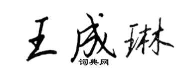 王正良王成琳行書個性簽名怎么寫