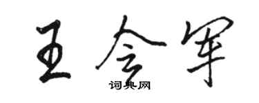 駱恆光王會軍行書個性簽名怎么寫