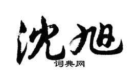 胡問遂沈旭行書個性簽名怎么寫