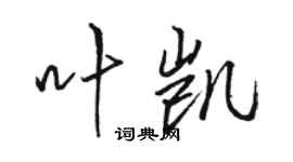 駱恆光葉凱行書個性簽名怎么寫