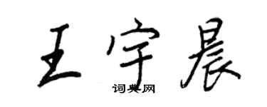 王正良王宇晨行書個性簽名怎么寫