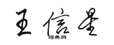 駱恆光王信星行書個性簽名怎么寫