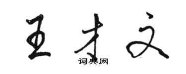 駱恆光王才文行書個性簽名怎么寫