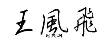 王正良王風飛行書個性簽名怎么寫