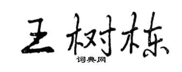 曾慶福王樹棟行書個性簽名怎么寫