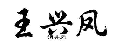 胡問遂王興鳳行書個性簽名怎么寫