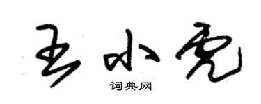 朱錫榮王小虎草書個性簽名怎么寫