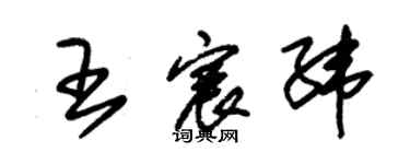 朱錫榮王宸緯草書個性簽名怎么寫