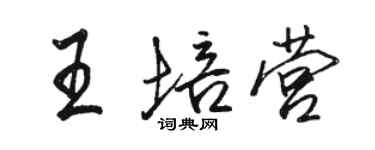 駱恆光王培營行書個性簽名怎么寫