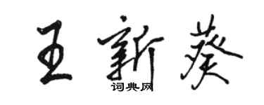 駱恆光王新葵行書個性簽名怎么寫