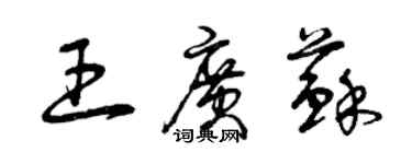 曾慶福王廣蘇草書個性簽名怎么寫