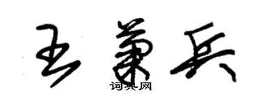 朱錫榮王菊兵草書個性簽名怎么寫