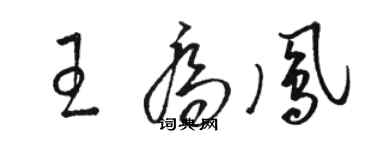 駱恆光王喬鳳草書個性簽名怎么寫