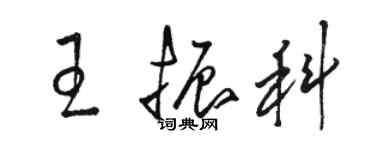 駱恆光王振科草書個性簽名怎么寫