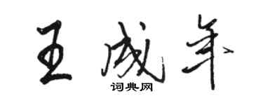 駱恆光王成年行書個性簽名怎么寫