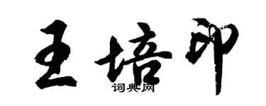 胡問遂王培印行書個性簽名怎么寫