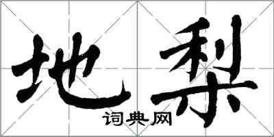 翁闓運地梨楷書怎么寫