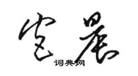 駱恆光宮晨草書個性簽名怎么寫