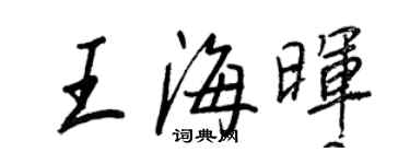 王正良王海暉行書個性簽名怎么寫