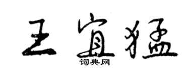 曾慶福王宜猛行書個性簽名怎么寫