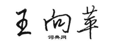 駱恆光王向苹行書個性簽名怎么寫