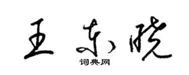 梁錦英王東曉草書個性簽名怎么寫