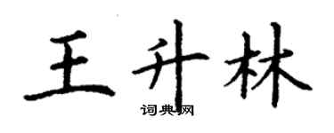 丁謙王升林楷書個性簽名怎么寫