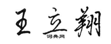駱恆光王立翔行書個性簽名怎么寫