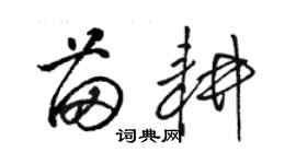 駱恆光苗耕草書個性簽名怎么寫