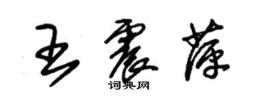 朱錫榮王震萍草書個性簽名怎么寫